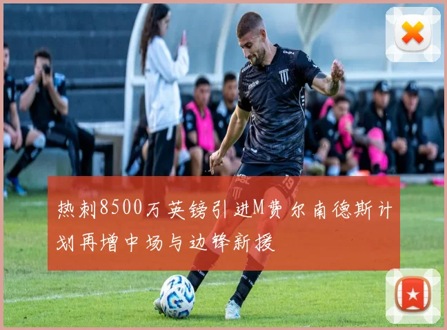 热刺8500万英镑引进M费尔南德斯计划再增中场与边锋新援