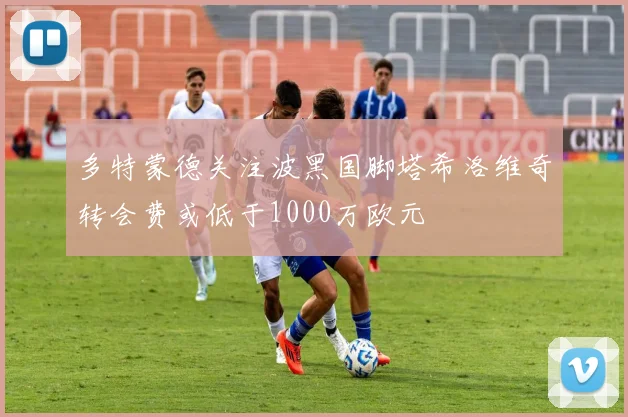 多特蒙德关注波黑国脚塔希洛维奇转会费或低于1000万欧元