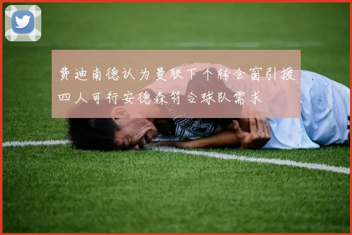 费迪南德认为曼联下个转会窗引援四人可行安德森符合球队需求